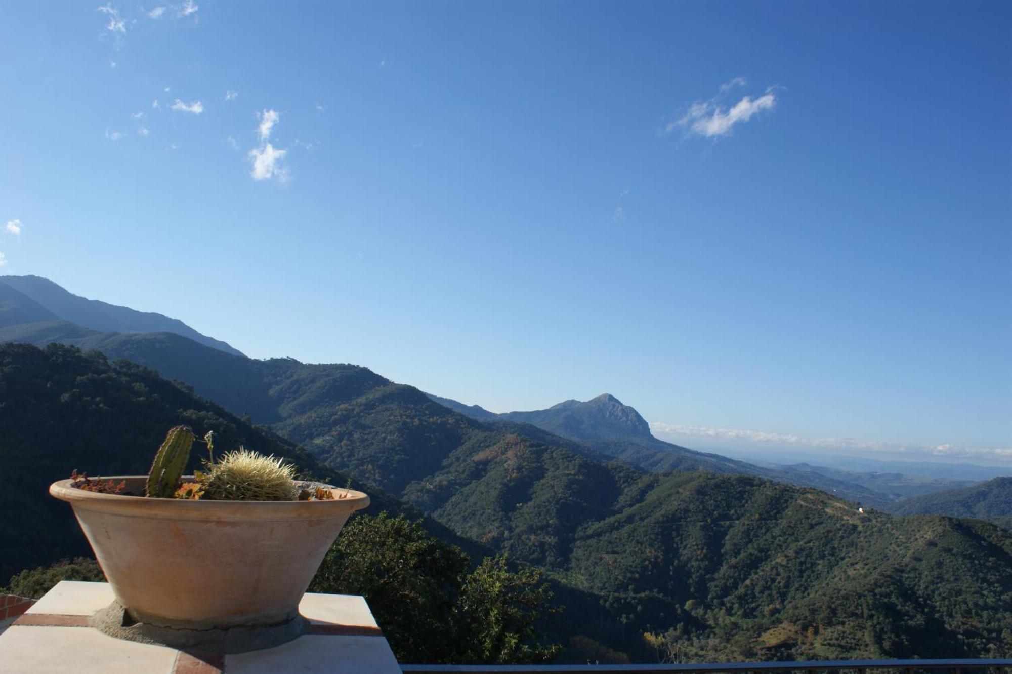 Apartamentos Rurales Jardines Del Visir ヘナルグアシル エクステリア 写真