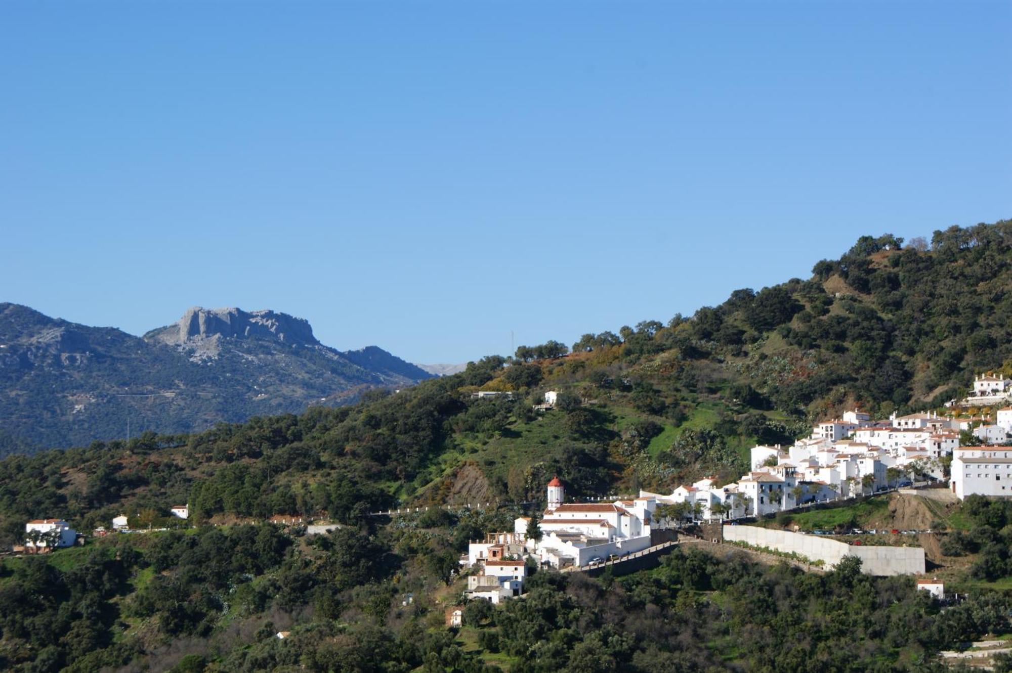 Apartamentos Rurales Jardines Del Visir ヘナルグアシル エクステリア 写真